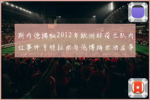 斯内德揭秘2012年欧洲杯荷兰队内讧事件亨特拉尔与范博梅尔酒后争执内幕