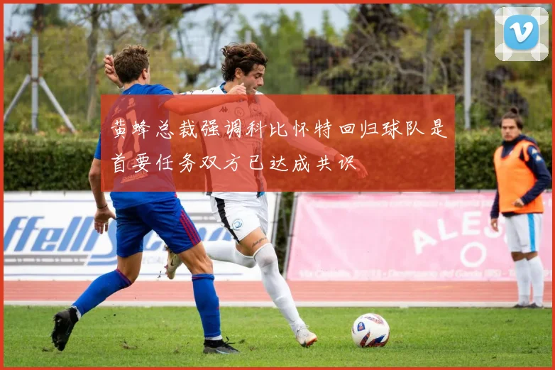 黄蜂总裁强调科比怀特回归球队是首要任务双方已达成共识